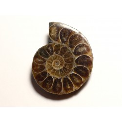 N10 - Pendentif Pierre Fossile - Ammonite Ammonoidea 36mm - 8741140016507 