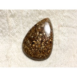 Cabochon de Pierre - Bronzite Goutte 25mm N6 - 4558550086945 