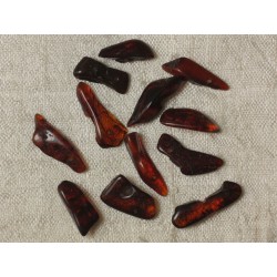 Perles d'Ambre - Rocailles 13-19 mm - Sac de 12pc 4558550035417